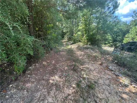 tbd Tom Moore Rd, Leesville, LA 71446 photo 3
