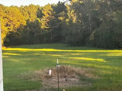Other - 61314-18 Bennett Rd, Amite, LA 70422 photo 1 of 2