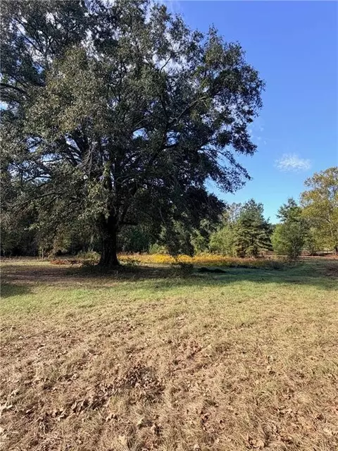 25 Willie Crooks Rd, Deville, LA 71328 photo 6