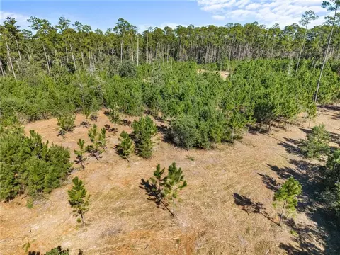 Neslo Road, Slidell, LA 70460 photo 6