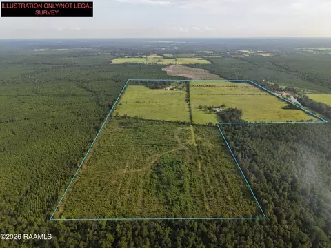 0 Rutherford Rd, Deridder, LA 70634 photo 5