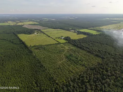 0 Rutherford Rd, Deridder, LA 70634 photo 6