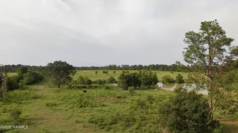 0 Rutherford Rd, Deridder, LA 70634 photo 21