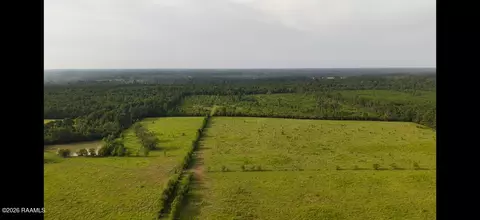 0 Rutherford Rd, Deridder, LA 70634 photo 19