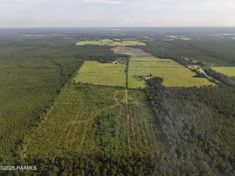 0 Rutherford Rd, Deridder, LA 70634 photo 7