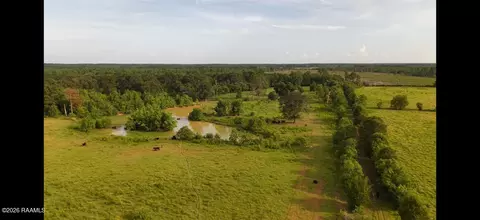 0 Rutherford Rd, Deridder, LA 70634 photo 16