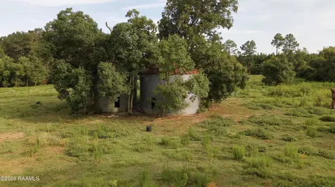 0 Rutherford Rd, Deridder, LA 70634 photo 10