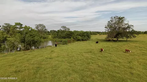 0 Rutherford Rd, Deridder, LA 70634 photo 24