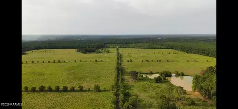 0 Rutherford Rd, Deridder, LA 70634 photo 17