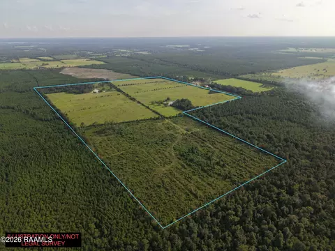 0 Rutherford Rd, Deridder, LA 70634 photo 4