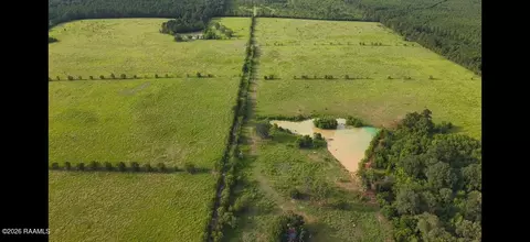 0 Rutherford Rd, Deridder, LA 70634 photo 20
