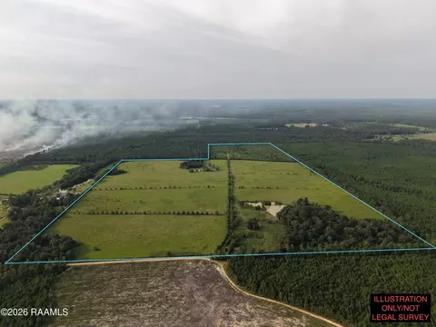 0 Rutherford Rd, Deridder, LA 70634 photo 3