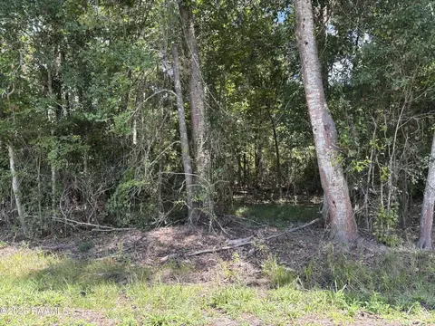 tbd Plantation, Abbeville, LA 70510