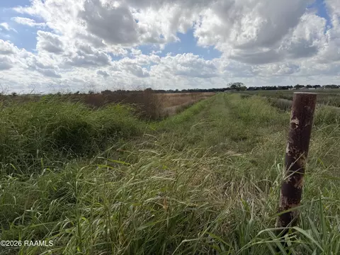 Jade Road, Kaplan, LA 70548 photo 5