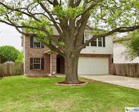 300 Emerald Fields Ln, Kyle, TX 78640 photo 1