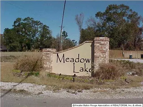 13552 Lily Ave, Walker, LA 70785 photo 1