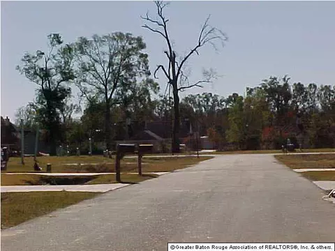 13552 Lily Ave, Walker, LA 70785 photo 4