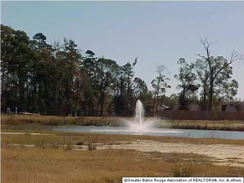 13552 Lily Ave, Walker, LA 70785 photo 2