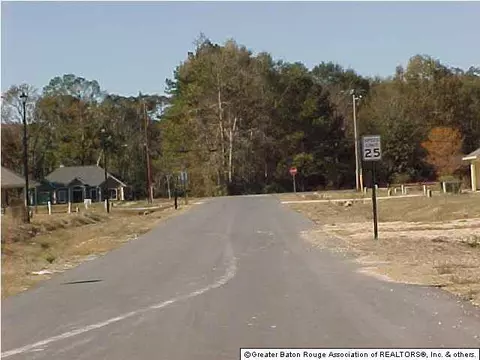 13552 Lily Ave, Walker, LA 70785 photo 5