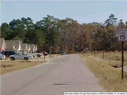 13552 Lily Ave, Walker, LA 70785 photo 3