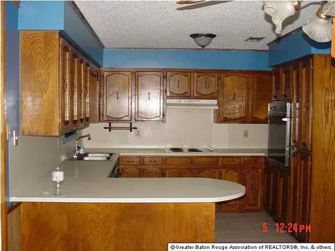 36855 Walker Rd N, Walker, LA 70785 photo 3