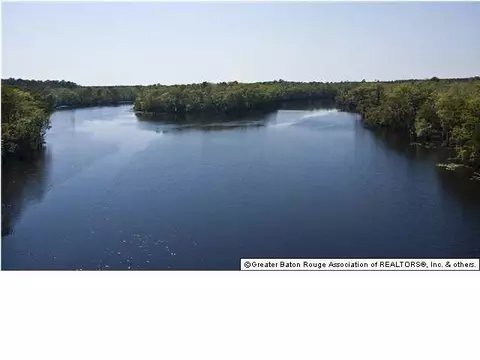 20815 Henry, Springfield, LA 70462 photo 29