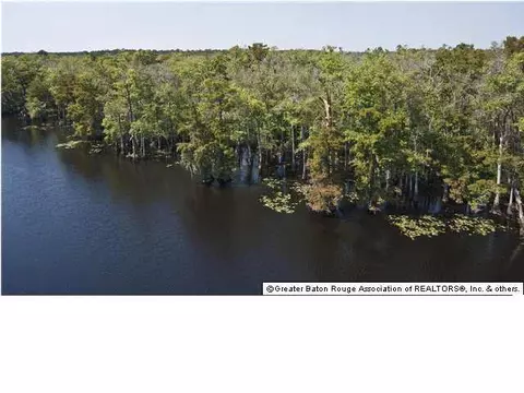 20815 Henry, Springfield, LA 70462 photo 28