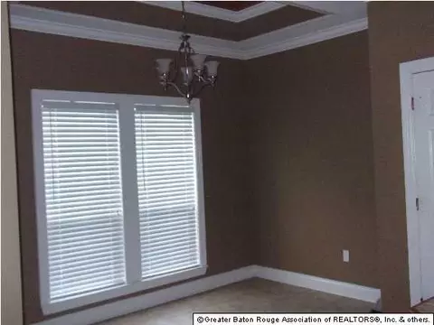 11365 Peaks Ave, Walker, LA 70785 photo 5