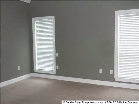11365 Peaks Ave, Walker, LA 70785 photo 7