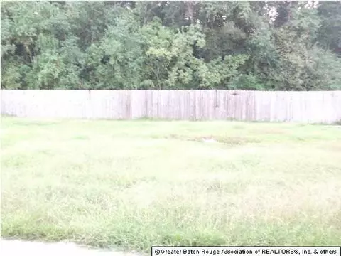11365 Peaks Ave, Walker, LA 70785 photo 13