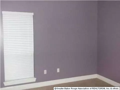 11365 Peaks Ave, Walker, LA 70785 photo 10