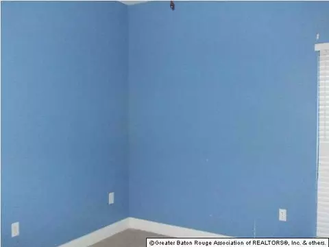 11365 Peaks Ave, Walker, LA 70785 photo 9