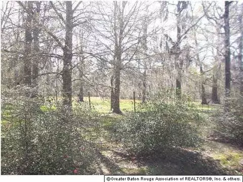 12370 Clanton Dr, Walker, LA 70785 photo 2