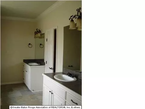 13372 Autumn Run Dr, Walker, LA 70785 photo 10
