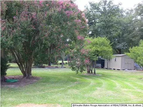 32775 Percy Young Rd, Walker, LA 70785 photo 15