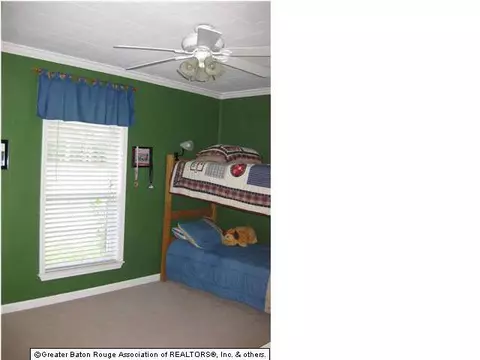 32775 Percy Young Rd, Walker, LA 70785 photo 9