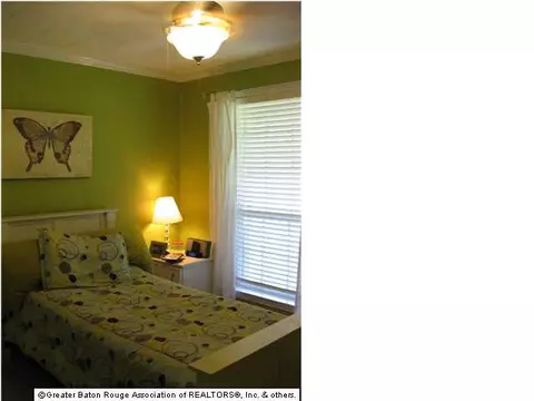 32775 Percy Young Rd, Walker, LA 70785 photo 10