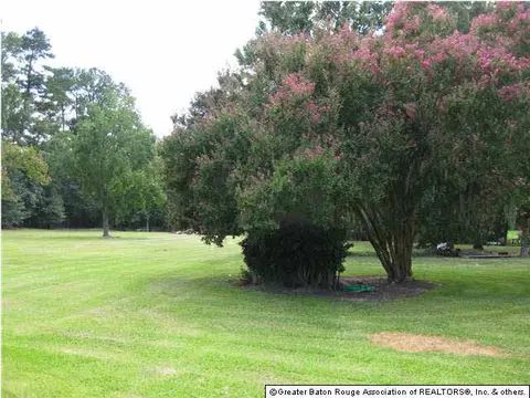 32775 Percy Young Rd, Walker, LA 70785 photo 12