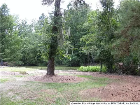 32775 Percy Young Rd, Walker, LA 70785 photo 16