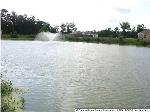 13580 Lily Ave, Walker, LA 70785 photo 12