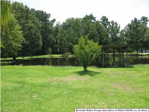 32075 Avants Rd, Walker, LA 70785 photo 17