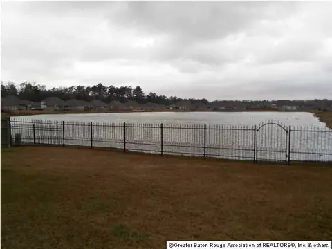 13469 Williamsburg Dr, Walker, LA 70785 photo 7