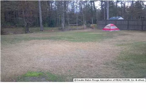 33011 Briar Oak Dr, Walker, LA 70785 photo 19