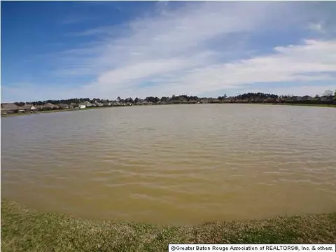 32820 Briar Oak Dr, Walker, LA 70785 photo 22