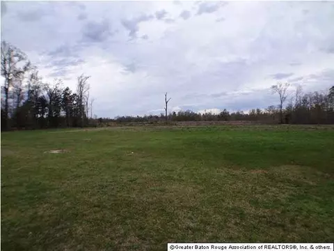 35095 J W Hall Rd, Walker, LA 70785 photo 25
