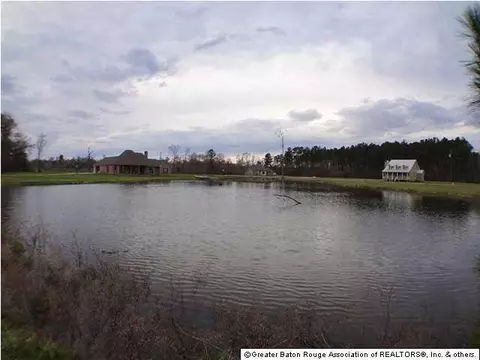 35095 J W Hall Rd, Walker, LA 70785 photo 26
