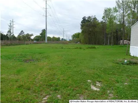 30255 Milton Rd, Walker, LA 70785 photo 4