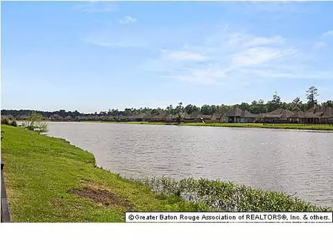 34261 Spring Lake Dr, Walker, LA 70785 photo 11