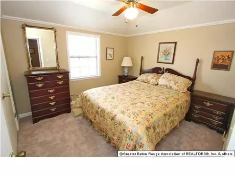 32822 Cypress Dr, Springfield, LA 70462 photo 9