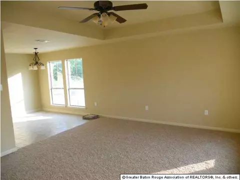 12302 Creekside Ave, Walker, LA 70785 photo 3